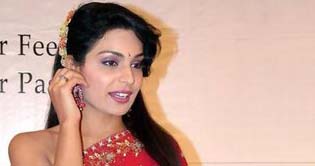 Meeras married to businessman? Controversy creates ripples